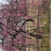 ヒメ日記 2026/03/27 21:07 投稿 ちよ(昭和39年生まれ) 性熟カップル～60代からの営み～