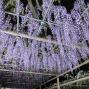 ヒメ日記 2026/04/18 08:57 投稿 みなと(昭和40年生まれ) 性熟カップル～60代からの営み～