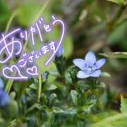 みわ(昭和39年生まれ) お礼デス 性熟カップル～60代からの営み～