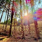 ヒメ日記 2026/03/30 08:51 投稿 みわ(昭和39年生まれ) 性熟カップル～60代からの営み～