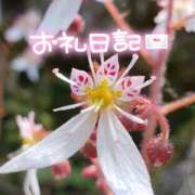 ヒメ日記 2026/04/24 21:30 投稿 みわ(昭和39年生まれ) 性熟カップル～60代からの営み～