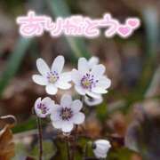 ヒメ日記 2026/07/15 22:17 投稿 みわ(昭和39年生まれ) 性熟カップル～60代からの営み～