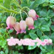 ヒメ日記 2026/08/14 21:52 投稿 みわ(昭和39年生まれ) 性熟カップル～60代からの営み～
