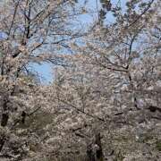 ヒメ日記 2026/03/28 22:05 投稿 いつき(昭和33年生まれ) 性熟カップル～60代からの営み～