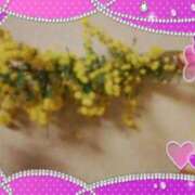 ヒメ日記 2026/03/21 07:03 投稿 さえこ(昭和38年生まれ) 性熟カップル～60代からの営み～