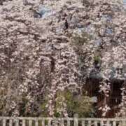 ヒメ日記 2026/03/29 21:10 投稿 わかこ(昭和38年生まれ) 性熟カップル～60代からの営み～