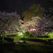 ヒメ日記 2026/04/18 11:15 投稿 塩野あき 松戸人妻花壇