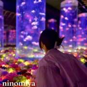 ヒメ日記 2026/04/03 22:33 投稿 二宮(にのみや) 八王子人妻城