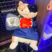二宮(にのみや) 可愛い祭りねこみっけ🏮🐱✨️ 八王子人妻城