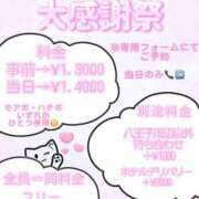ヒメ日記 2026/09/17 09:49 投稿 二宮(にのみや) 八王子人妻城