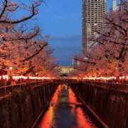 ヒメ日記 2026/01/15 10:03 投稿 深山【ふかやま】 ★無料オプション多数★成田若妻即即サークル【日本人専門店】