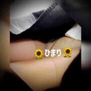 ヒメ日記 2026/04/26 06:24 投稿 雪村 ひまり こあくまな熟女たち 池袋店(KOAKUMAグループ)