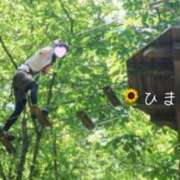 ヒメ日記 2026/05/10 06:30 投稿 雪村 ひまり こあくまな熟女たち 池袋店(KOAKUMAグループ)