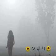 ヒメ日記 2026/05/28 08:58 投稿 雪村 ひまり こあくまな熟女たち 池袋店(KOAKUMAグループ)