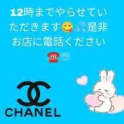 ヒメ日記 2026/01/18 16:35 投稿 かりん 茨城水戸ちゃんこ