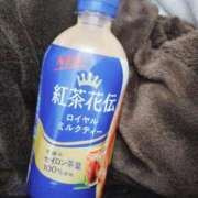 ヒメ日記 2026/01/23 14:55 投稿 かりん 茨城水戸ちゃんこ