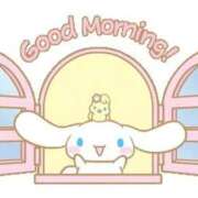 ヒメ日記 2026/02/06 10:05 投稿 かりん 茨城水戸ちゃんこ