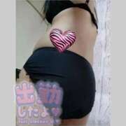 ヒメ日記 2026/02/06 12:25 投稿 かりん 茨城水戸ちゃんこ