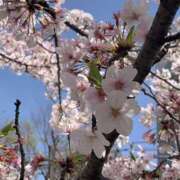 ヒメ日記 2026/04/09 18:56 投稿 るるな ラブコレ