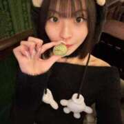 ヒメ日記 2026/01/24 11:00 投稿 めい ミスターダンディ パート2