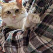 ひかる ご無沙汰しております😊🩷 熟女デリヘル倶楽部