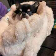 ヒメ日記 2026/02/25 10:00 投稿 ひかる 熟女デリヘル倶楽部