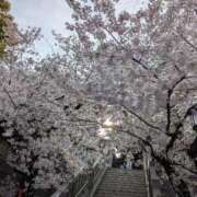 ヒメ日記 2026/03/31 17:26 投稿 ひかる 熟女デリヘル倶楽部