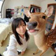 ヒメ日記 2026/02/12 20:17 投稿 水瀬ゆき セグレターリオ