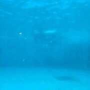 ヒメ日記 2026/03/17 21:31 投稿 水瀬ゆき セグレターリオ