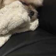 ヒメ日記 2026/01/30 10:18 投稿 みやび おクンニ学園 横浜関内校