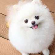 ヒメ日記 2026/02/10 15:41 投稿 みやび おクンニ学園 横浜関内校