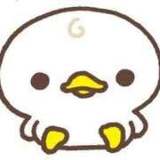 ヒメ日記 2026/03/27 14:21 投稿 まなか Ravires(ラヴィリス)