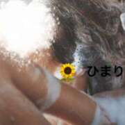 ヒメ日記 2026/04/28 06:26 投稿 雪村 ひまり こあくまな熟女たち 大塚店(KOAKUMAグループ)
