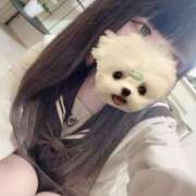 ねね★平成19年生まれ18歳★ どきどき︎💕︎︎ Chloe錦糸町店 S級素人清楚系デリヘル