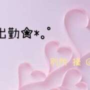 ヒメ日記 2026/04/03 12:42 投稿 別所操 五十路マダム愛されたい熟女たち岡山店（カサブランカグループ）