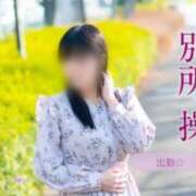 ヒメ日記 2026/09/28 15:18 投稿 別所操 五十路マダム愛されたい熟女たち岡山店（カサブランカグループ）