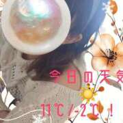 ヒメ日記 2026/01/24 09:06 投稿 いづみ 小岩人妻花壇