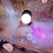 ヒメ日記 2026/03/12 19:04 投稿 いづみ 小岩人妻花壇