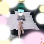 ヒメ日記 2026/03/19 14:59 投稿 いづみ 小岩人妻花壇