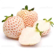 ヒメ日記 2026/02/06 10:34 投稿 いちごのイロハ C級グル女　鶯谷店