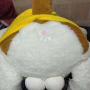 ヒメ日記 2026/02/18 11:11 投稿 いちごのイロハ C級グル女　鶯谷店