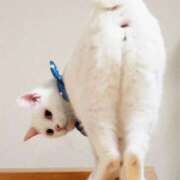 ヒメ日記 2026/04/12 10:50 投稿 いちごのイロハ C級グル女　鶯谷店