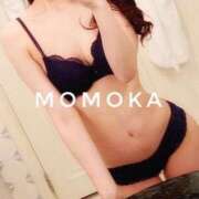 ヒメ日記 2026/04/29 15:54 投稿 安達 桃香 CASA BIANCA（カーサ・ビアンカ）