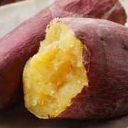 ヒメ日記 2026/02/09 20:20 投稿 ゆうこ 甲府人妻隊