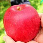 ヒメ日記 2026/02/10 19:02 投稿 ゆうこ 甲府人妻隊