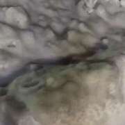 ヒメ日記 2026/03/11 00:19 投稿 りっか 素人妻御奉仕倶楽部Hip's松戸店