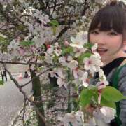 ヒメ日記 2026/04/08 11:29 投稿 りっか 素人妻御奉仕倶楽部Hip's松戸店