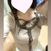 ヒメ日記 2026/02/20 19:57 投稿 もえは Gossip girl