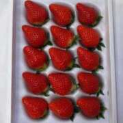 まお とうちゃこ⋆͛🦖⋆͛ 白いぽっちゃりさん五反田店