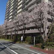 ヒメ日記 2026/04/04 09:01 投稿 近乃いずみ プレジデントハウス